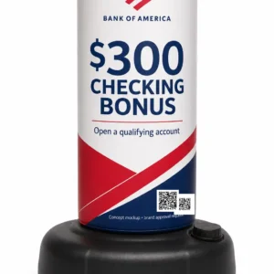 bank of america bag