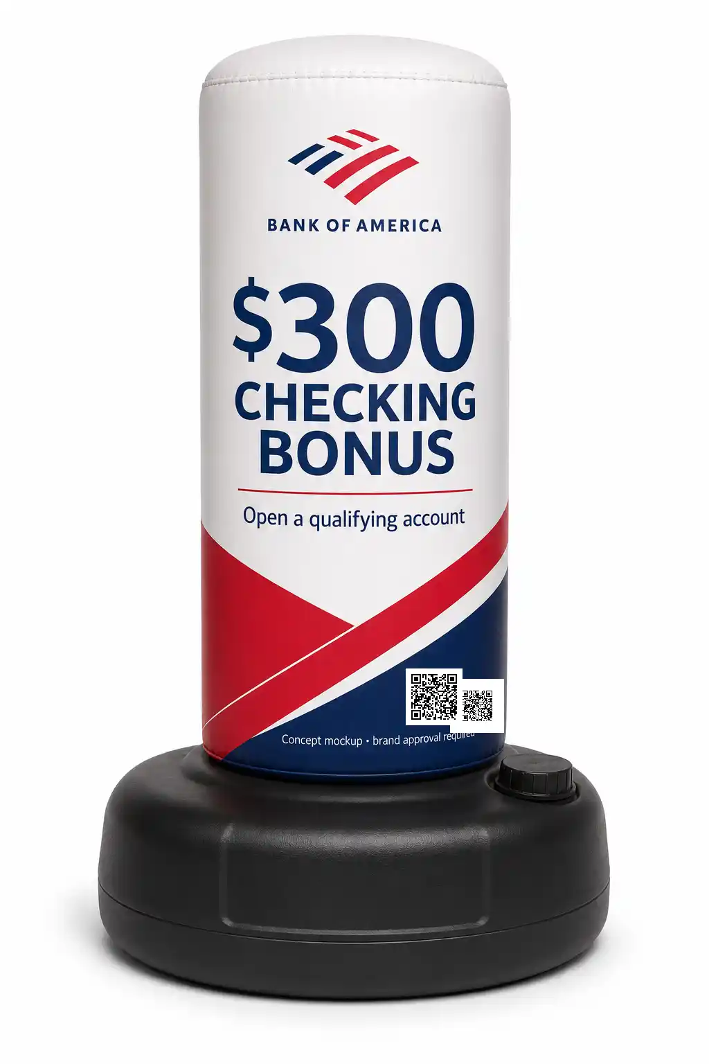 bank of america bag